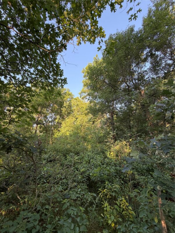 00000 Volkmann Lane, Grantsburg WI 54840 - Land house for sale - MLS #1603383 - image3