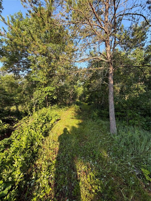 00000 Volkmann Lane, Grantsburg WI 54840 - Land house for sale - MLS #1603383 - image7