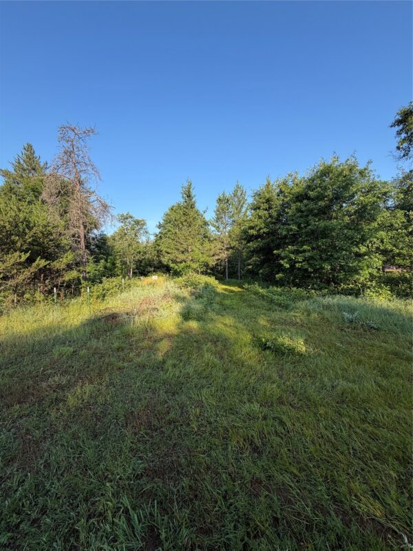 00000 Volkmann Lane, Grantsburg WI 54840 - Land house for sale - MLS #1603383 - image8