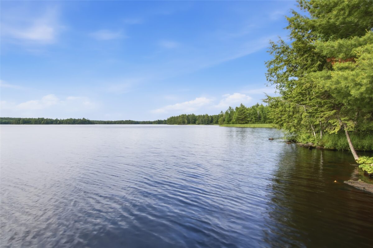 10791N Mockingbird Lane, Hayward WI 54843 - Residential house for sale - MLS #1602686 - image44