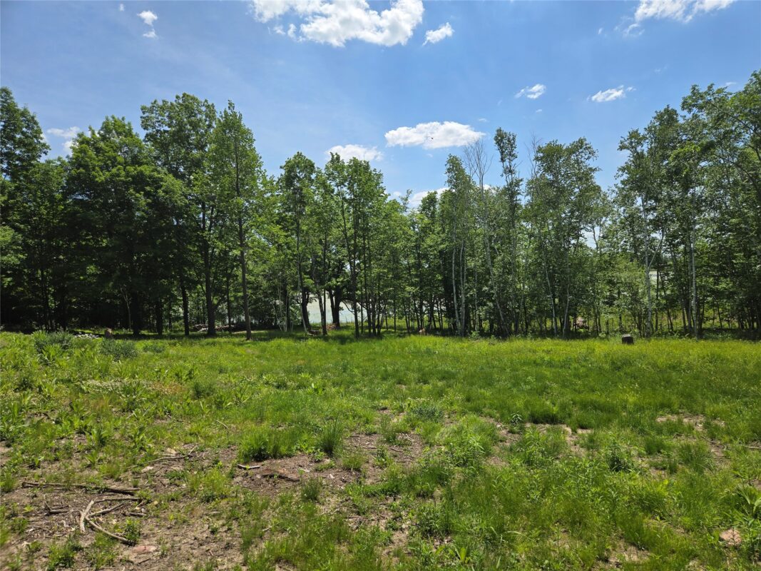 110 90th Avenue, Clayton WI 54004 - Land house for sale - MLS #1600343 - image3