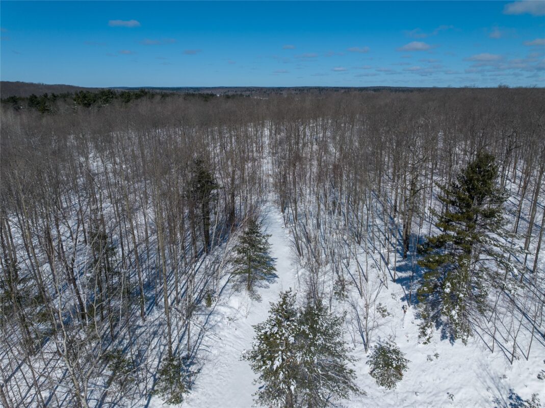 11349N Vasa Road, Hayward WI 54843 - Land house for sale - MLS #1599816 - image13