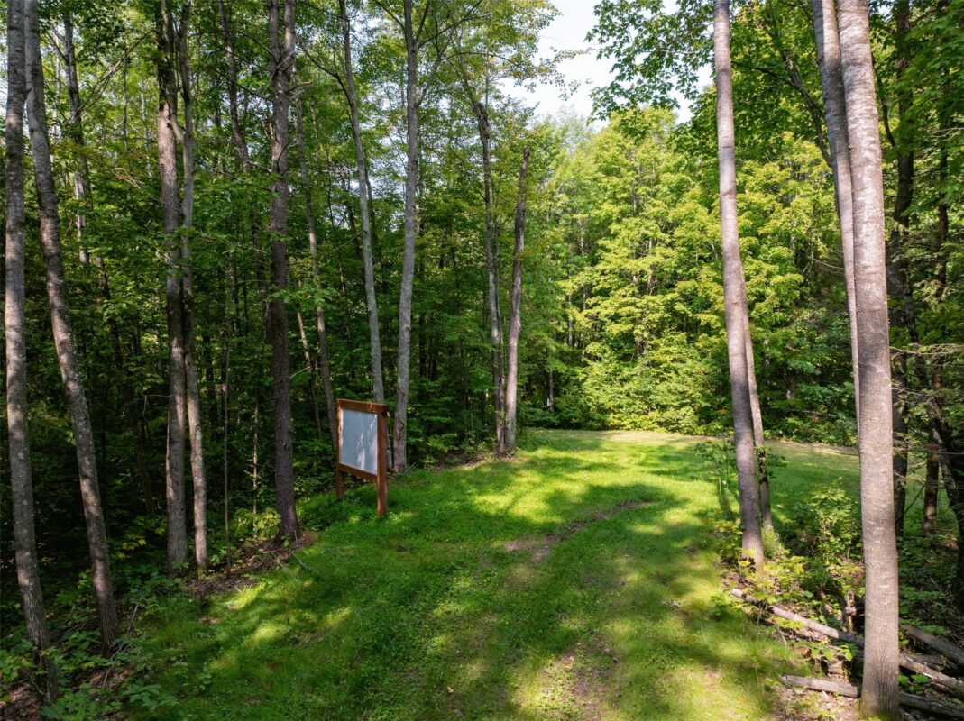 11349N Vasa Road, Hayward WI 54843 - Land house for sale - MLS #1599816 - image6