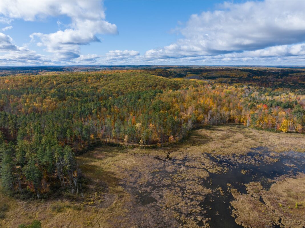 11349N Vasa Road, Hayward WI 54843 - Land house for sale - MLS #1599816 - image10