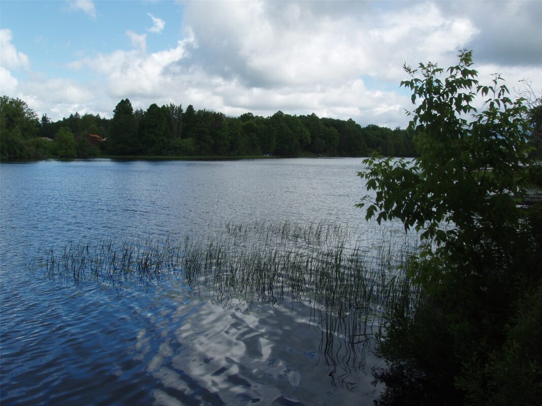 1153 Saunders Avenue, Park Falls WI 54552 - Residential house for sale - MLS #1602444 - image10