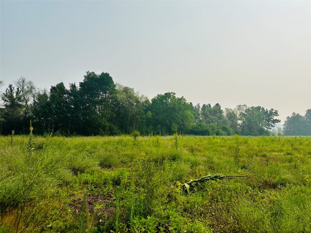 1.25 Acres 19th Avenue, Chippewa Falls WI 54729 - Land house for sale - MLS #1603305 - image2