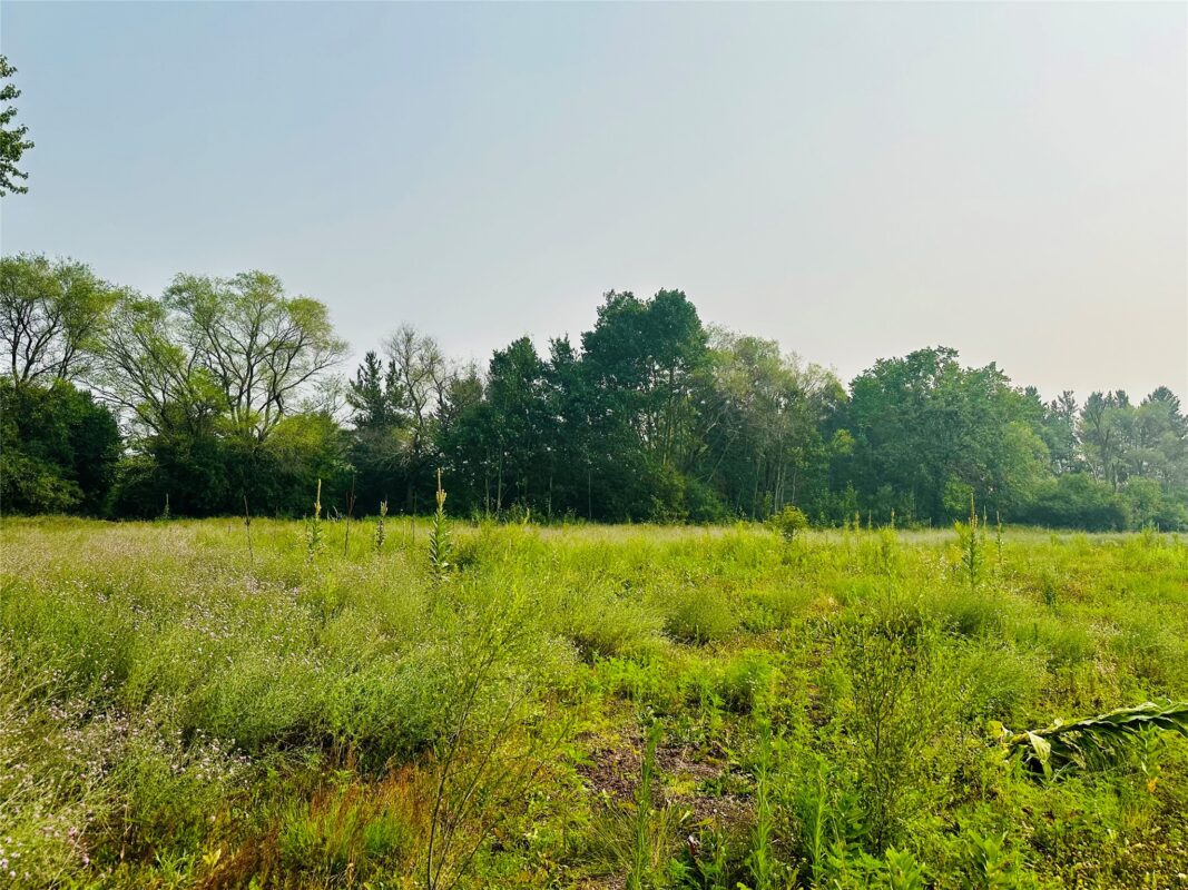 1.25 Acres 19th Avenue, Chippewa Falls WI 54729 - Land house for sale - MLS #1603305 - image3