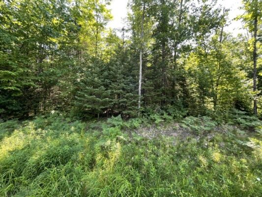 12552 N County Highway T  Hayward WI 54843