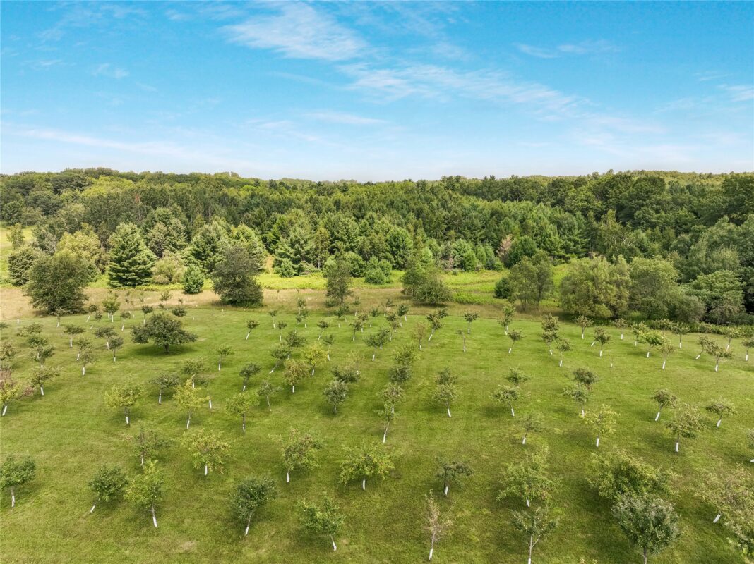 12558 Twin Lake Road, Hayward WI 54843 - CommercialSale house for sale - MLS #1602004 - image58