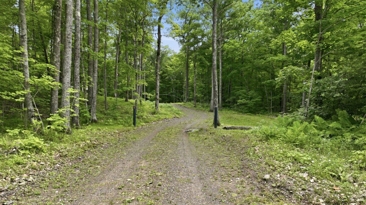 12745W Goldfinch Lane, Hayward WI 54843 - Land house for sale - MLS #1602809 - image11