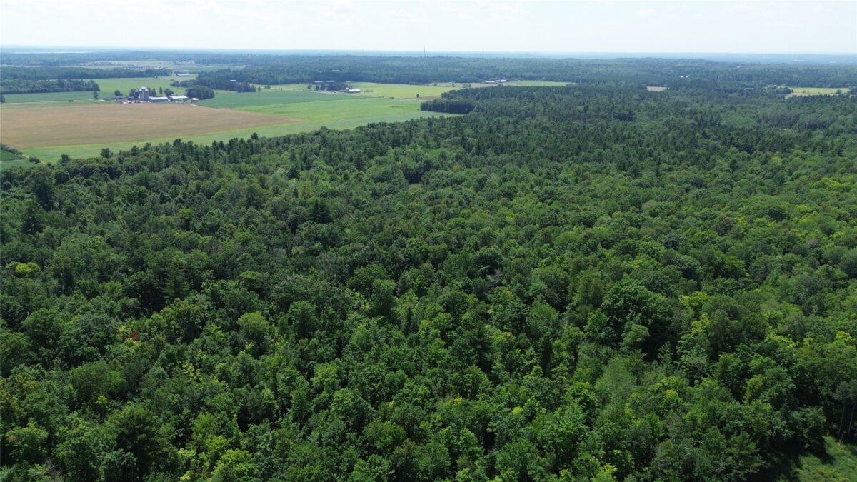 13743W State Highway 77, Hayward WI 54843 - Land house for sale - MLS #1603311 - image11