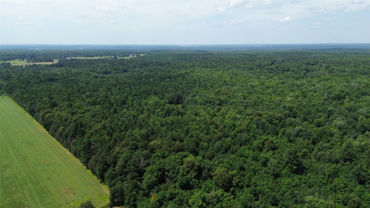 13743W State Highway 77, Hayward WI 54843 - Land house for sale - MLS #1603311 - image14