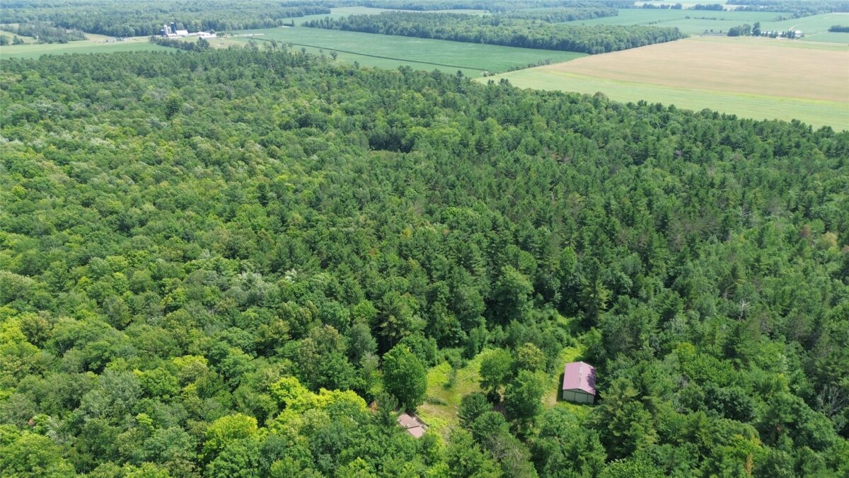 13743W State Highway 77, Hayward WI 54843 - Land house for sale - MLS #1603311 - image17