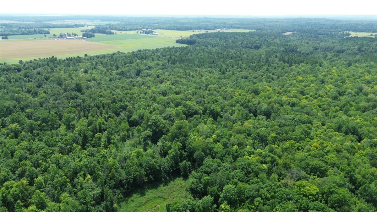 13743W State Highway 77, Hayward WI 54843 - Land house for sale - MLS #1603311 - image4