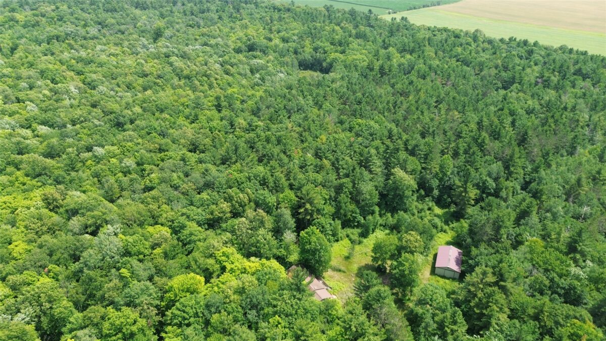 13743W State Highway 77, Hayward WI 54843 - Land house for sale - MLS #1603311 - image9