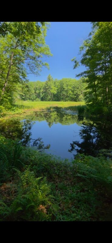 1388 Town Hall Road, Springbrook WI 54875 - Residential house for sale - MLS #1599662 - image26