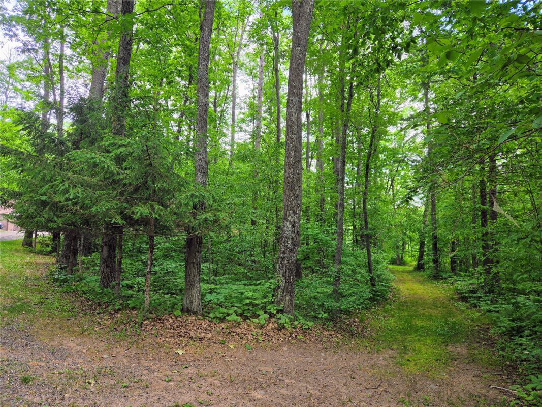 1388 Town Hall Road, Springbrook WI 54875 - Residential house for sale - MLS #1599662 - image52