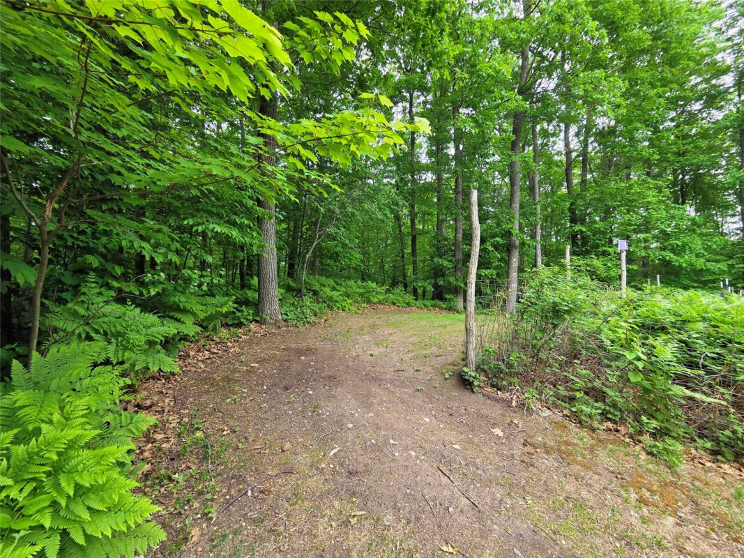 1388 Town Hall Road, Springbrook WI 54875 - Residential house for sale - MLS #1599662 - image54