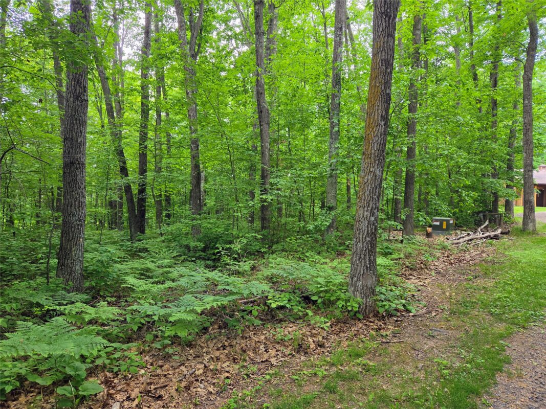 1388 Town Hall Road, Springbrook WI 54875 - Residential house for sale - MLS #1599662 - image55