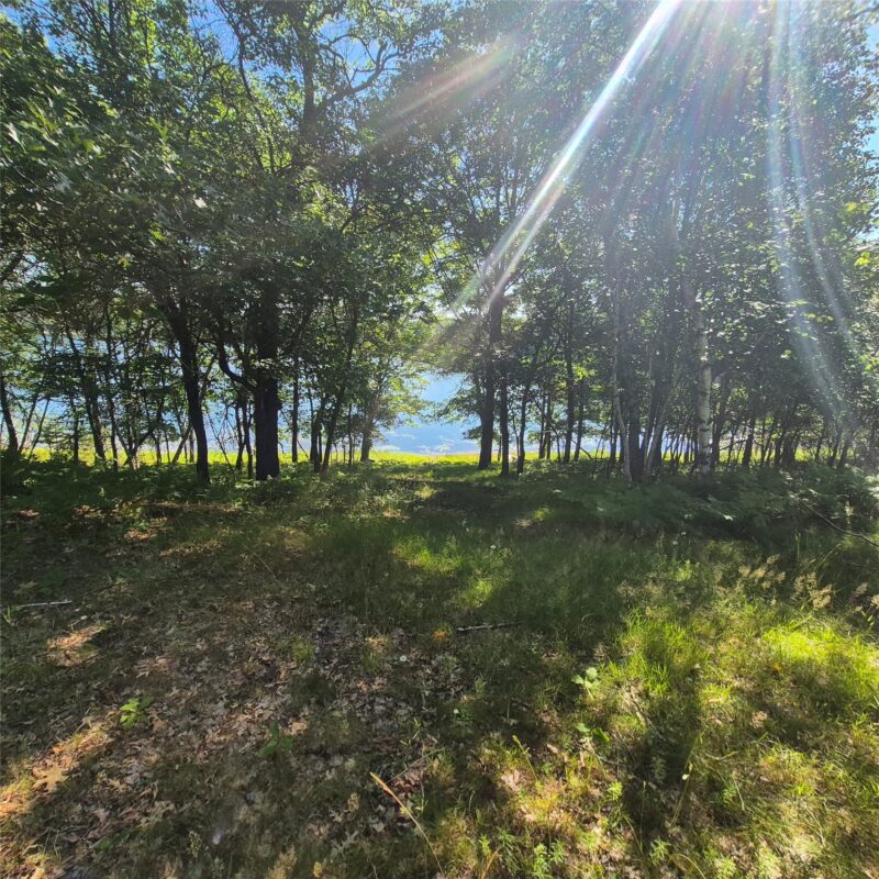 1430 Broken Arrow Trail, Solon Springs WI 54873 - Residential house for sale - MLS #1602898 - image8
