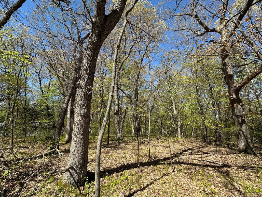 1438 Pleasant Hill Road, Eau Claire WI 54703 - Land house for sale - MLS #1602766 - image28
