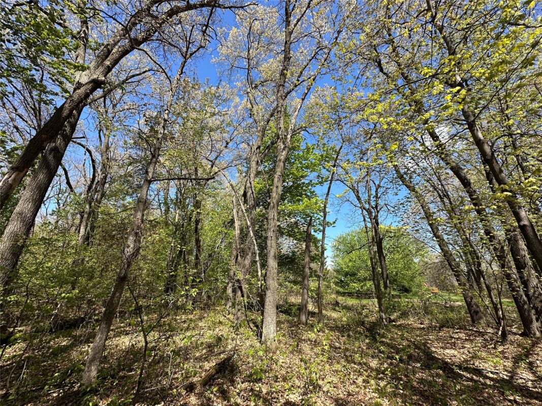 1438 Pleasant Hill Road, Eau Claire WI 54703 - Land house for sale - MLS #1602766 - image29