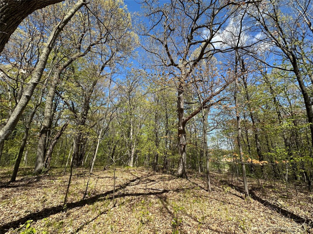 1438 Pleasant Hill Road, Eau Claire WI 54703 - Land house for sale - MLS #1602766 - image30