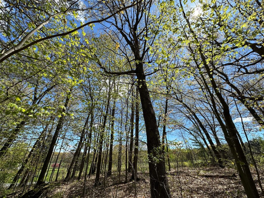 1438 Pleasant Hill Road, Eau Claire WI 54703 - Land house for sale - MLS #1602766 - image4