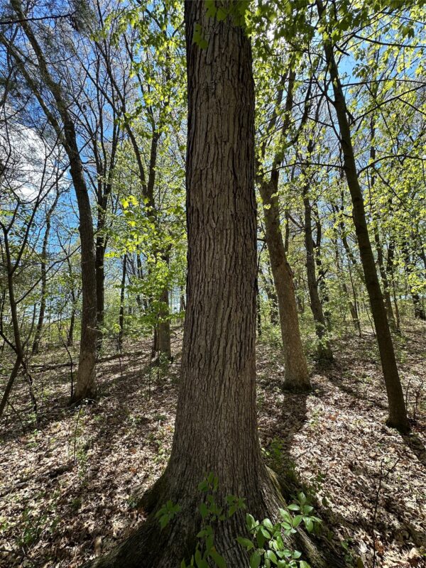 1438 Pleasant Hill Road, Eau Claire WI 54703 - Land house for sale - MLS #1602766 - image31