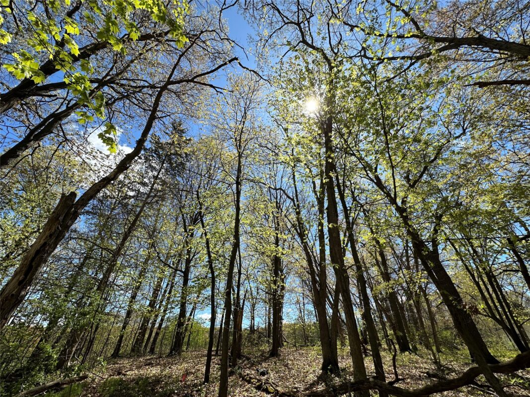 1438 Pleasant Hill Road, Eau Claire WI 54703 - Land house for sale - MLS #1602766 - image40