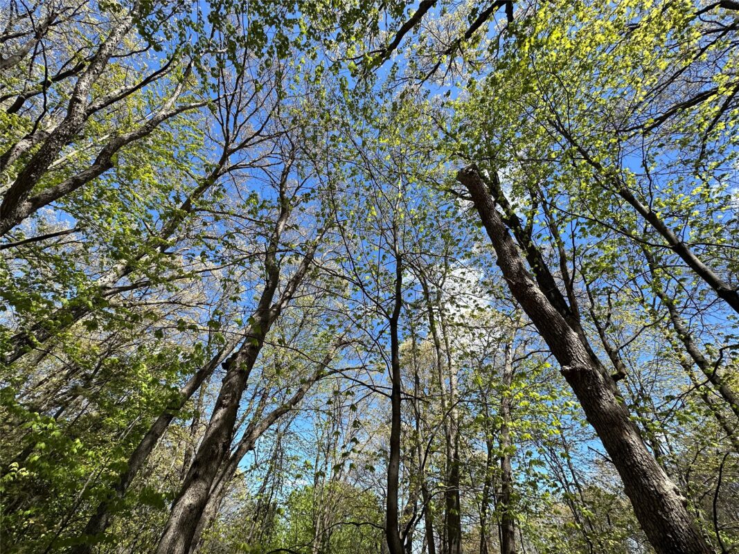 1438 Pleasant Hill Road, Eau Claire WI 54703 - Land house for sale - MLS #1602766 - image41