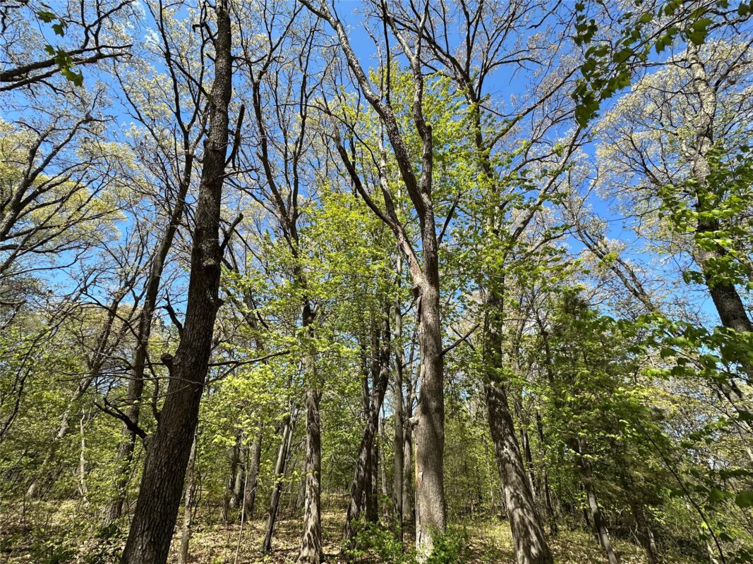 1438 Pleasant Hill Road, Eau Claire WI 54703 - Land house for sale - MLS #1602766 - image42