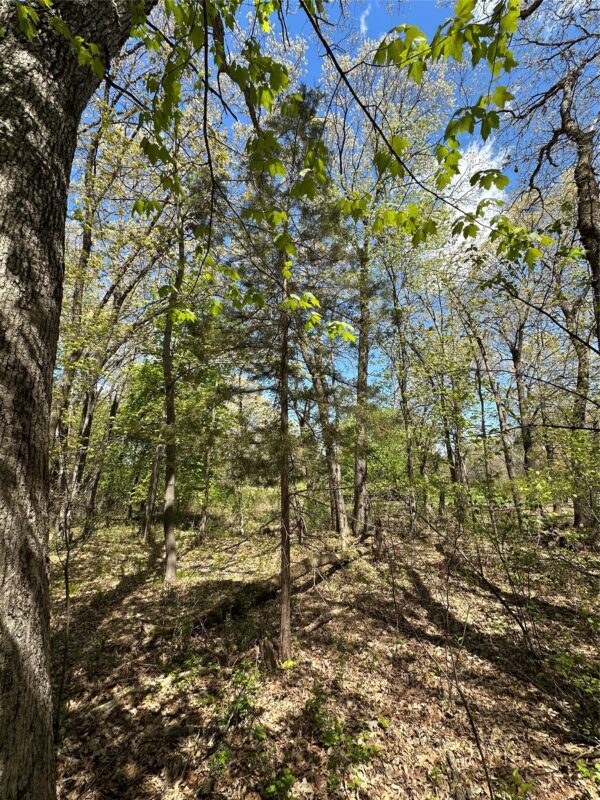 1438 Pleasant Hill Road, Eau Claire WI 54703 - Land house for sale - MLS #1602766 - image43