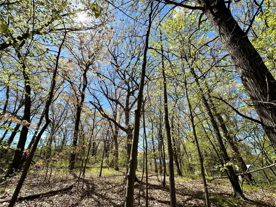 1438 Pleasant Hill Road, Eau Claire WI 54703 - Land house for sale - MLS #1602766 - image6
