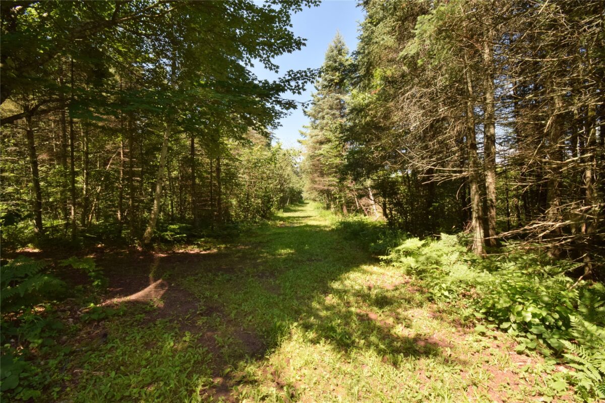 14622 Swedish Highway, Danbury WI 54830 - Residential house for sale - MLS #1603188 - image60