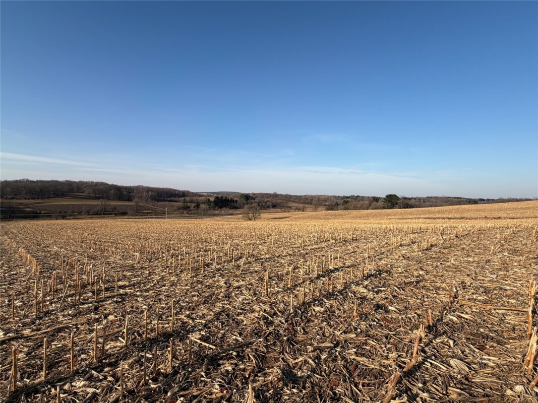 15 Acres County Highway G, Glenwood City WI 54013 - Land house for sale - MLS #1599626 - image6
