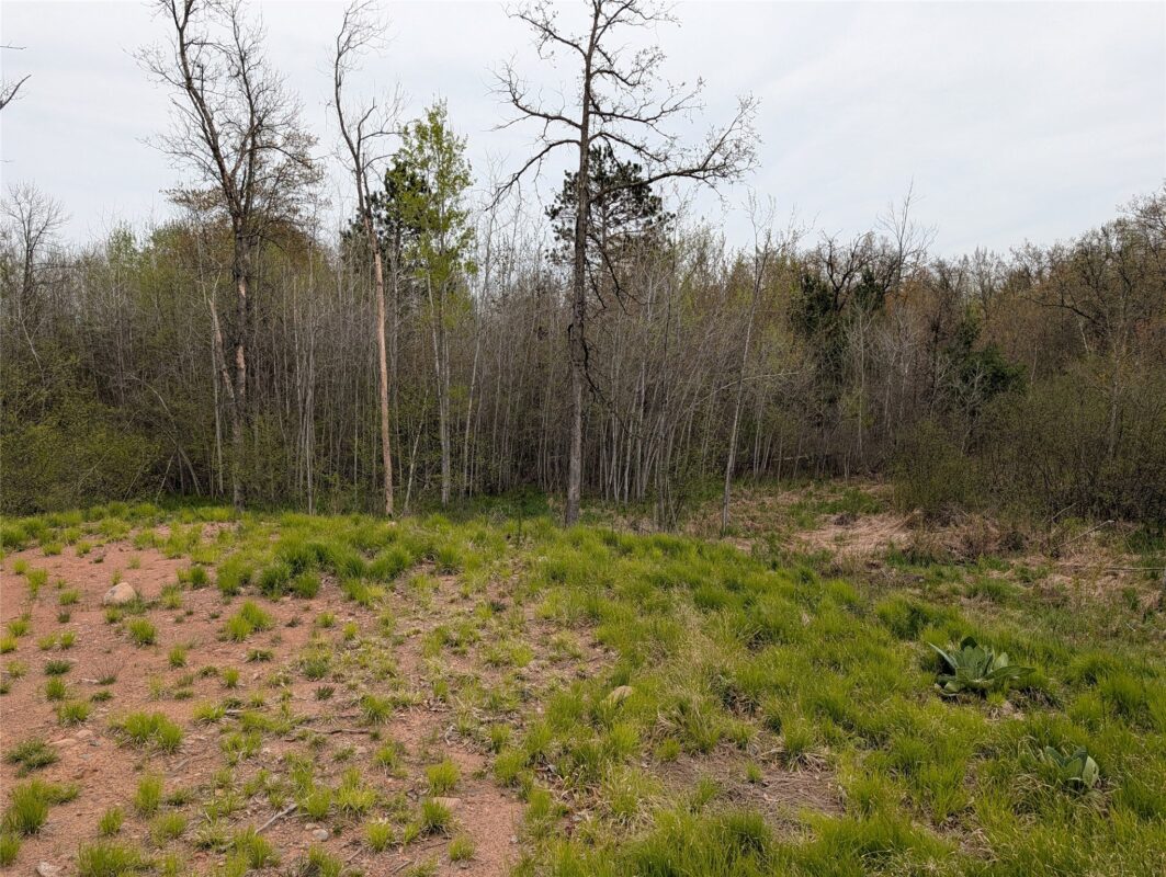 15573 Highway 64, Bloomer WI 54724 - Land house for sale - MLS #1601231 - image6