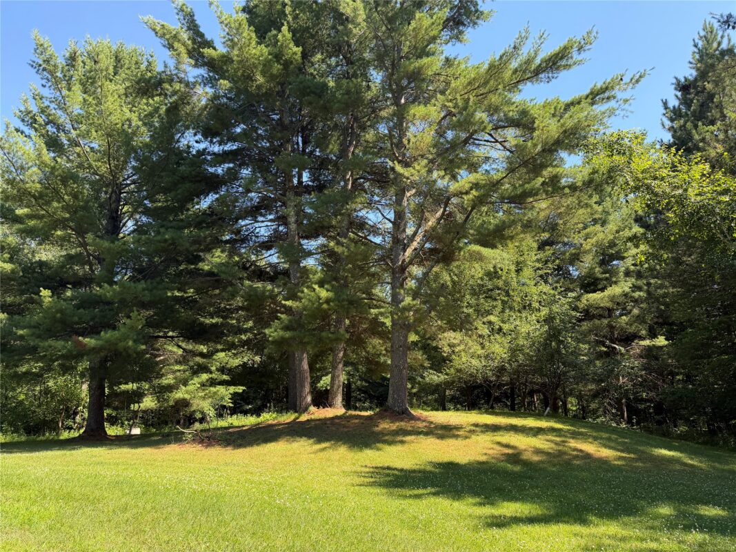 15579 304th Avenue, New Auburn WI 54757 - Residential house for sale - MLS #1603191 - image37
