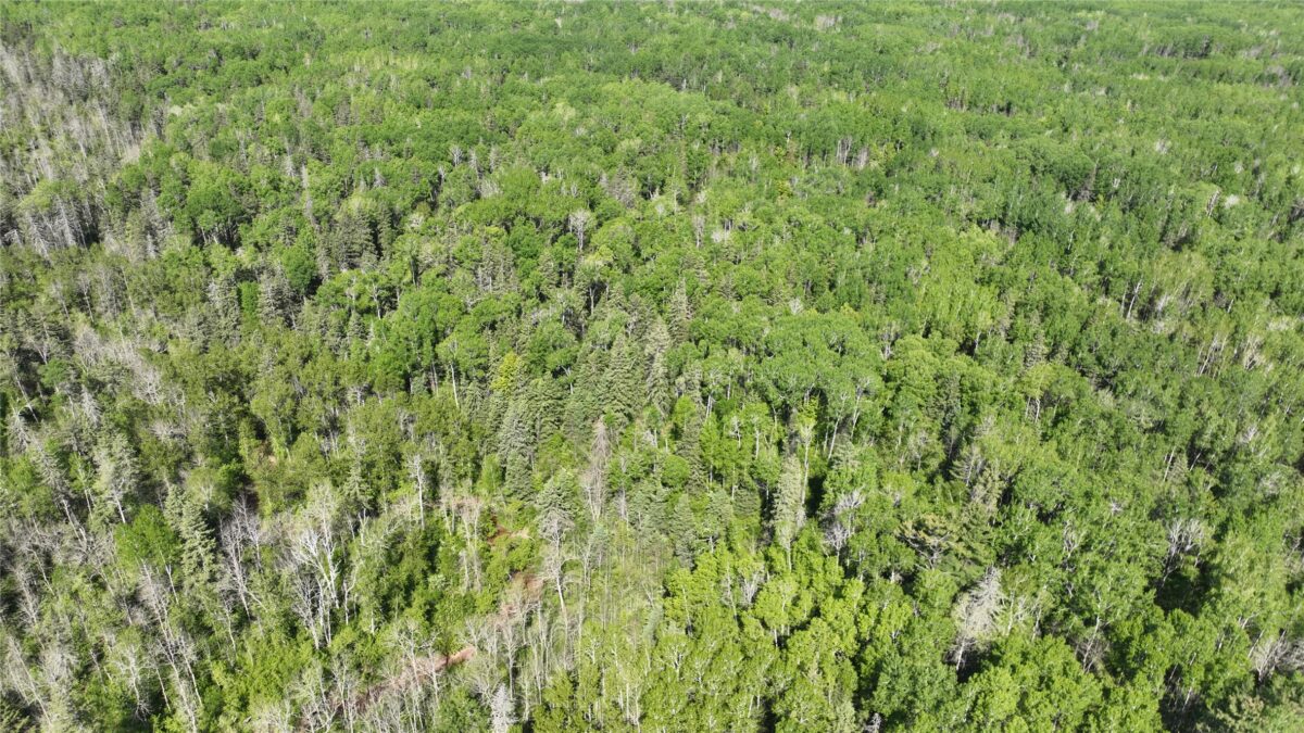 1640 County Rd W, Superior WI 54880 - Land house for sale - MLS #1602205 - image13