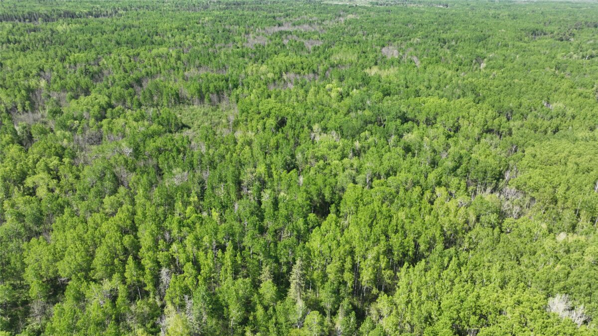 1640 County Rd W, Superior WI 54880 - Land house for sale - MLS #1602205 - image20