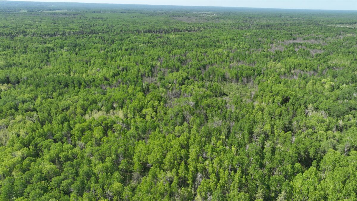 1640 County Rd W, Superior WI 54880 - Land house for sale - MLS #1602205 - image21