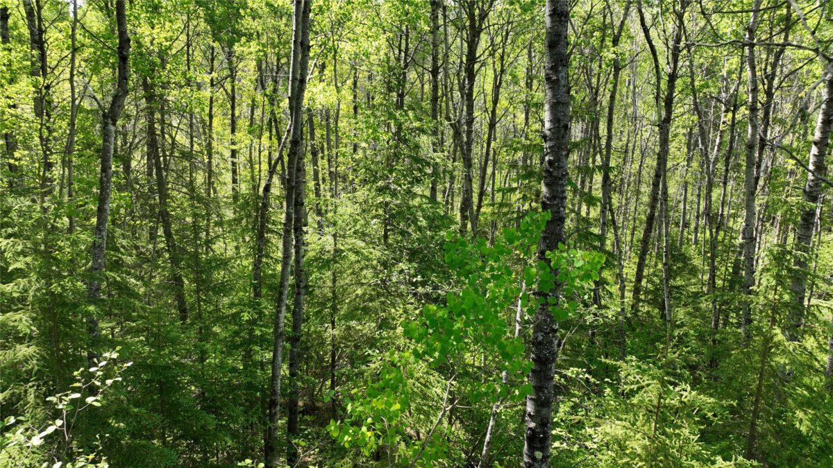 1640 County Rd W, Superior WI 54880 - Land house for sale - MLS #1602205 - image24