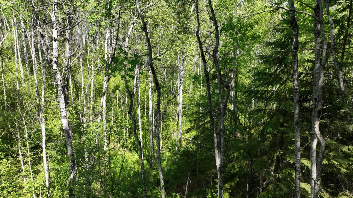 1640 County Rd W, Superior WI 54880 - Land house for sale - MLS #1602205 - image26