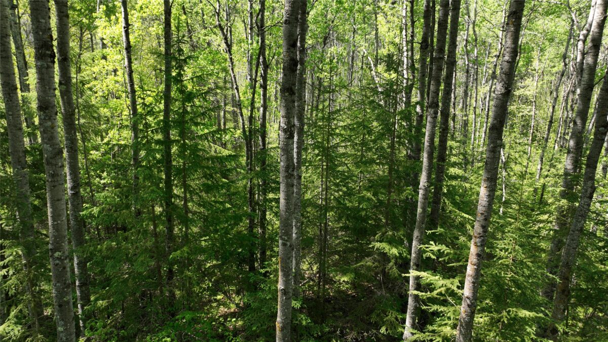 1640 County Rd W, Superior WI 54880 - Land house for sale - MLS #1602205 - image29