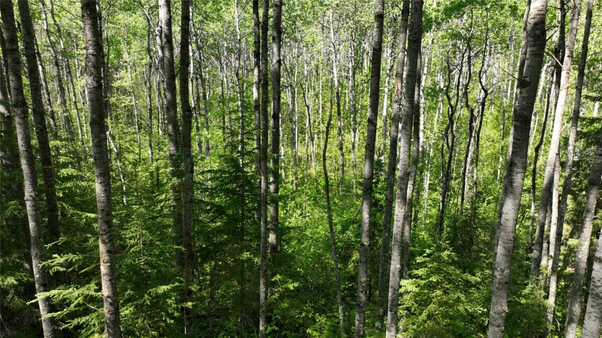 1640 County Rd W, Superior WI 54880 - Land house for sale - MLS #1602205 - image30