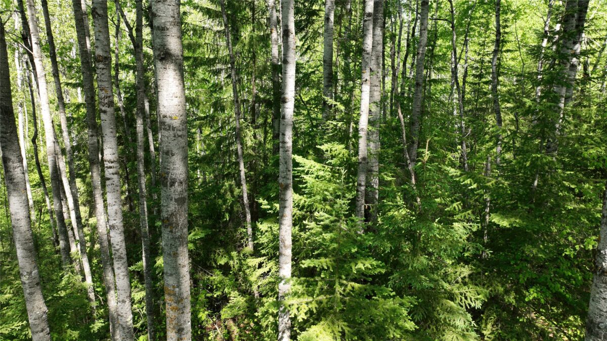 1640 County Rd W, Superior WI 54880 - Land house for sale - MLS #1602205 - image31