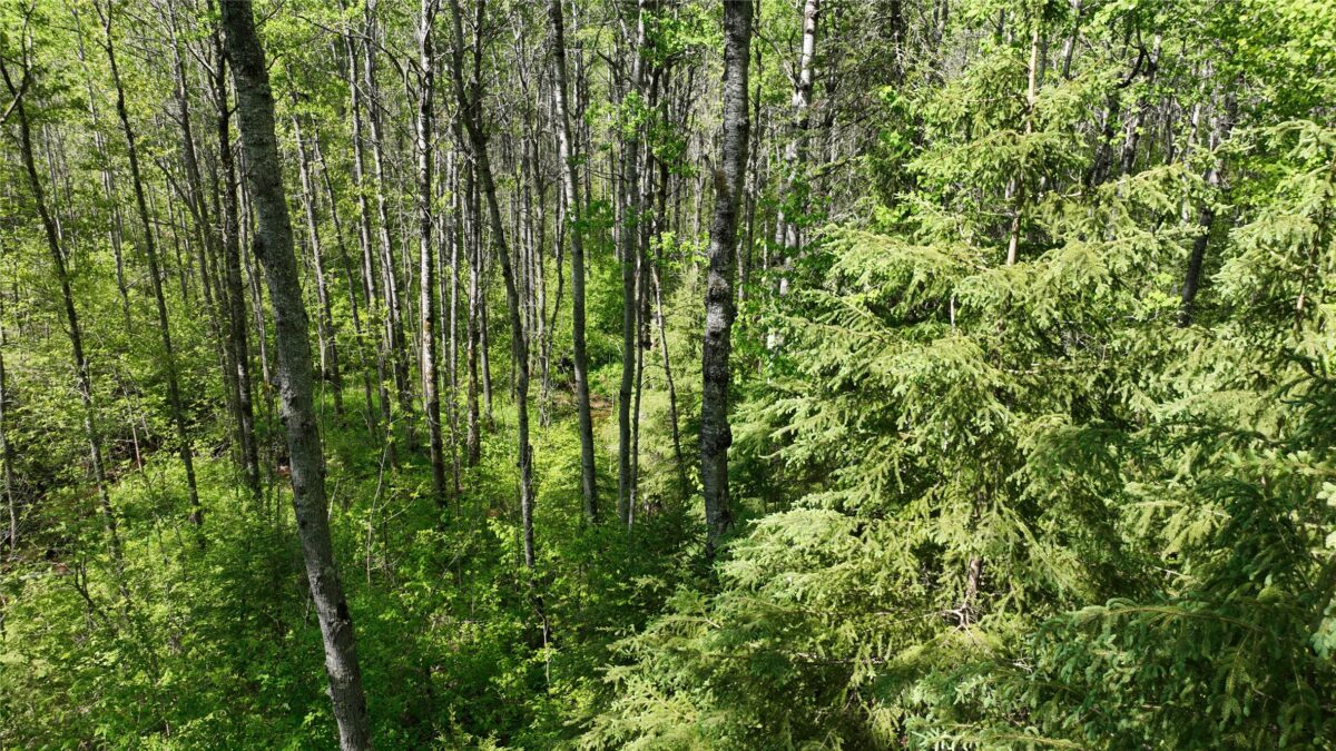 1640 County Rd W, Superior WI 54880 - Land house for sale - MLS #1602205 - image33