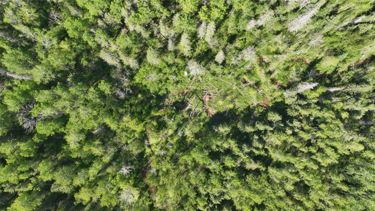 1640 County Road W, Superior WI 54880 - Land house for sale - MLS #1602205 - image12