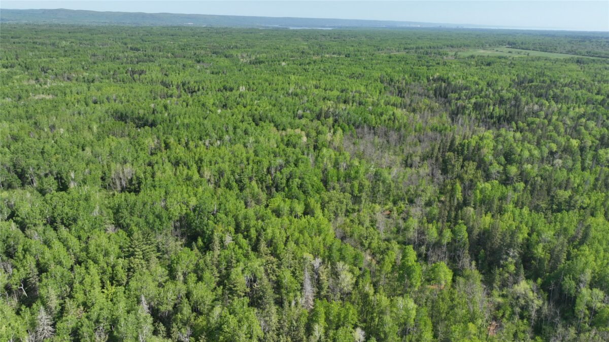 1640 County Road W, Superior WI 54880 - Land house for sale - MLS #1602205 - image15