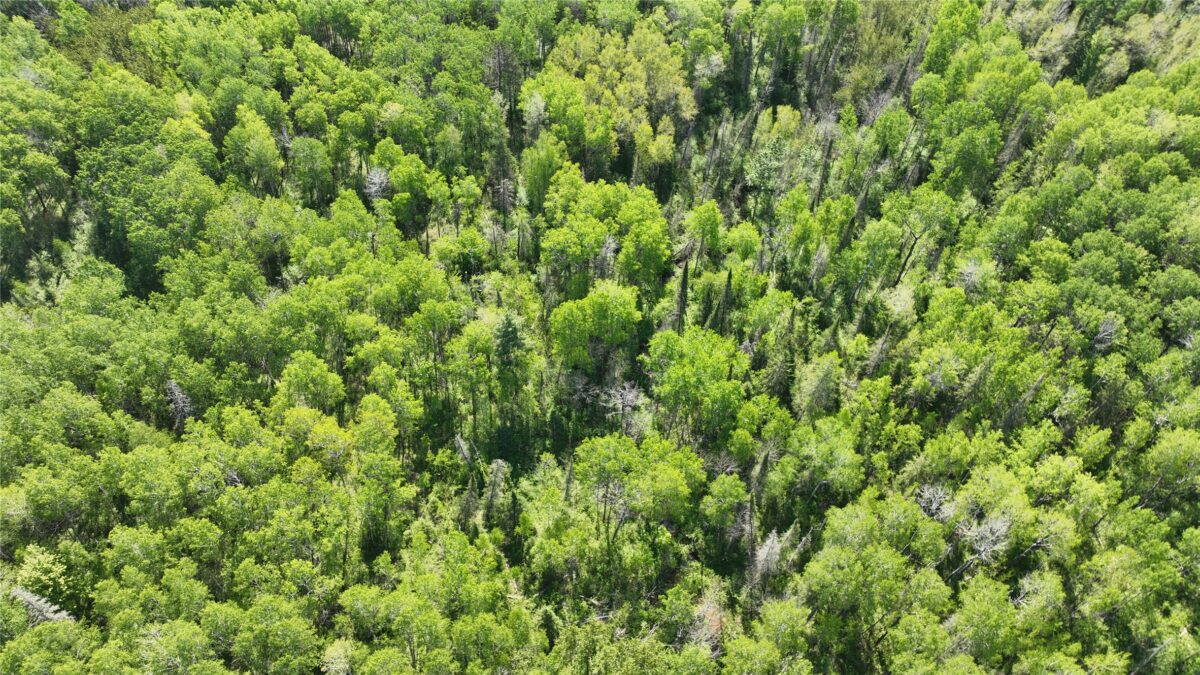 1640 County Road W, Superior WI 54880 - Land house for sale - MLS #1602205 - image19